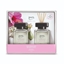 IPURO FLOWER BOWL GEURDIFFUSER 2X 50ML